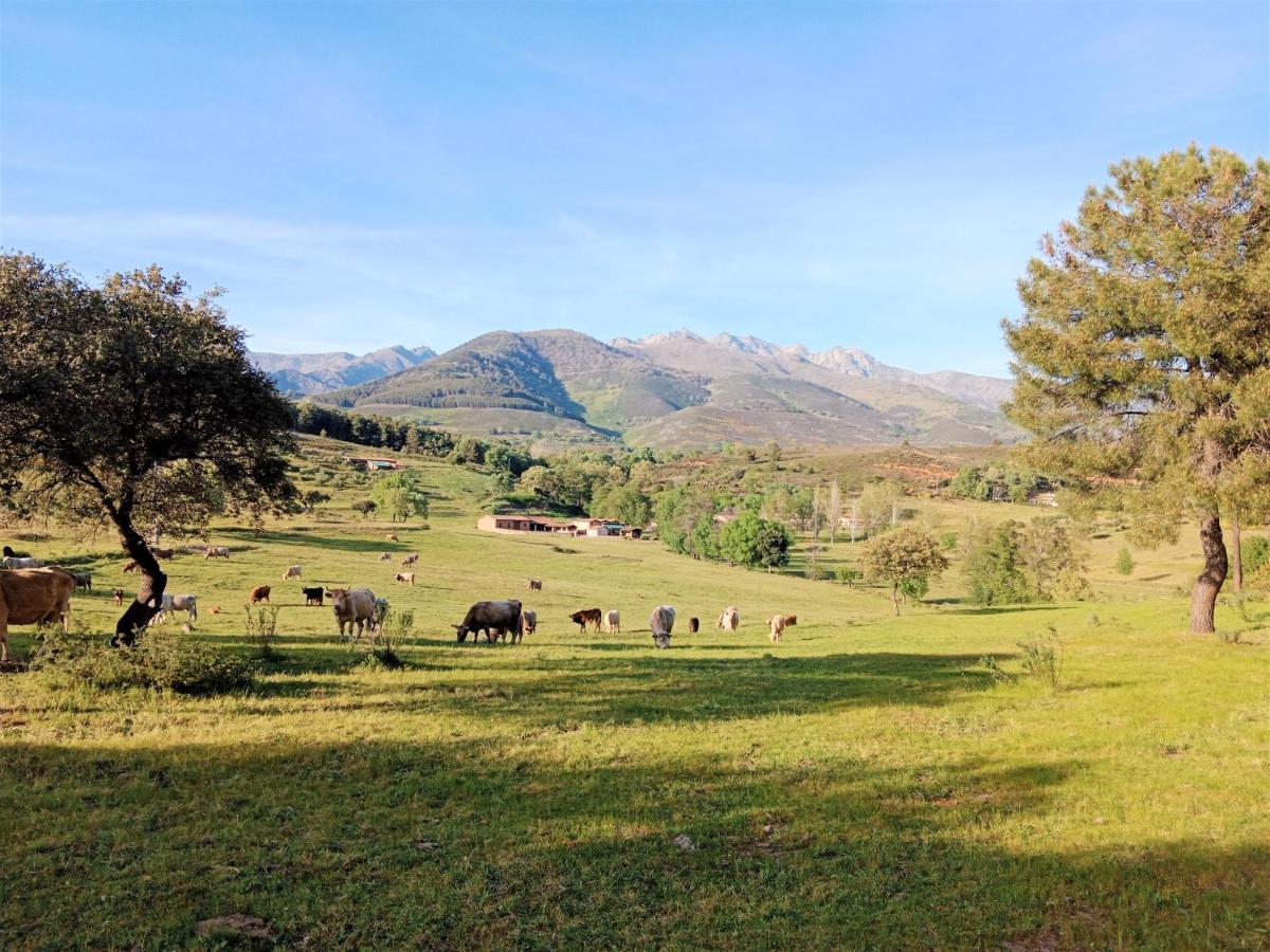 Casa Rural - Complejo El Tejar De Las Canadas Candeleda Kültér fotó