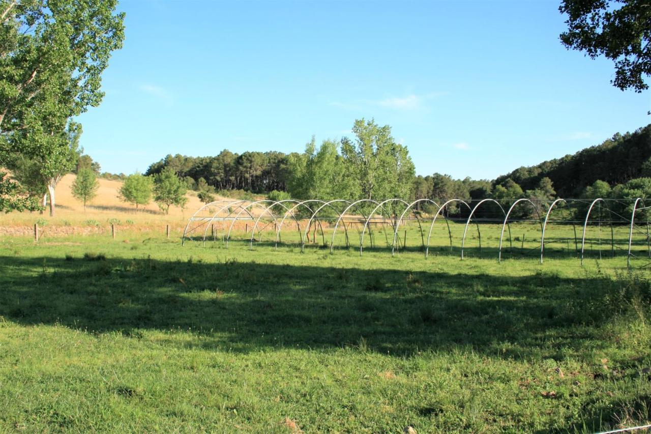 Casa Rural - Complejo El Tejar De Las Canadas Candeleda Kültér fotó